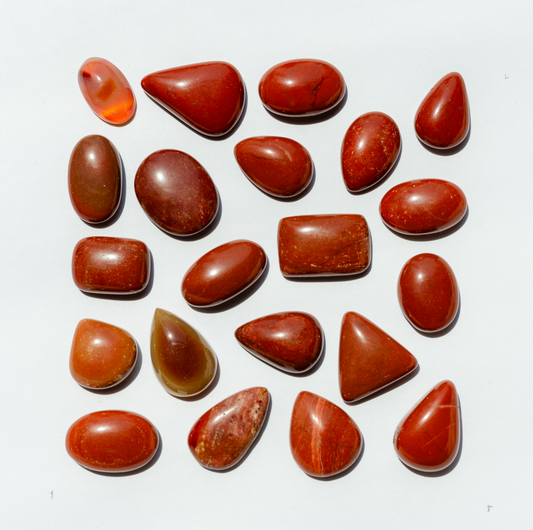 The Autumn Collection