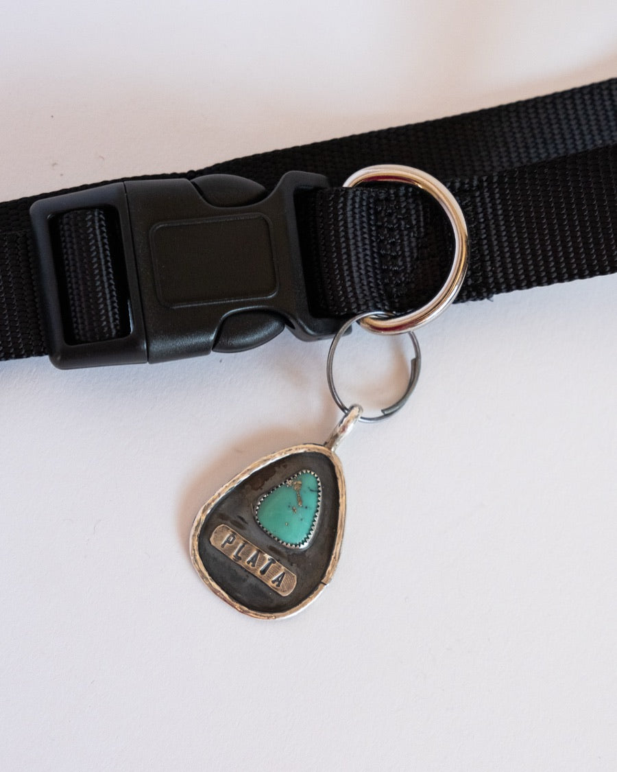 Turquoise Pet Collar
