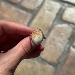 Shell Ring - Size 9.5